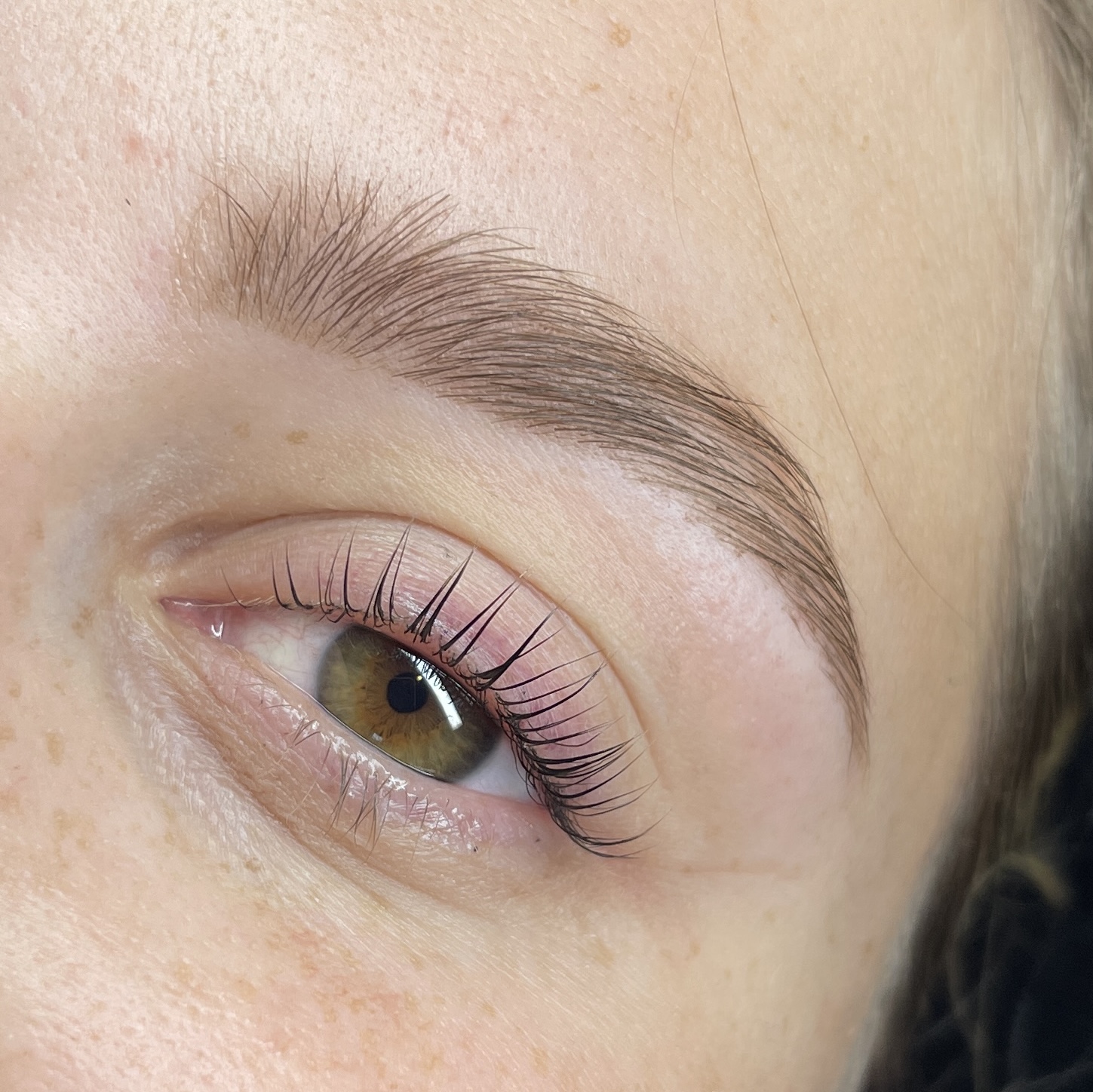 Hyrbid brows